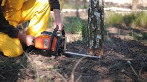 Leaf Removal in Palmerton, PA